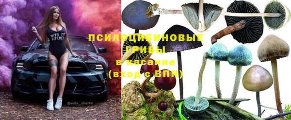 гашик Верхний Тагил