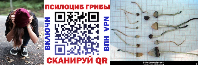 Галлюциногенные грибы ЛСД Снежинск